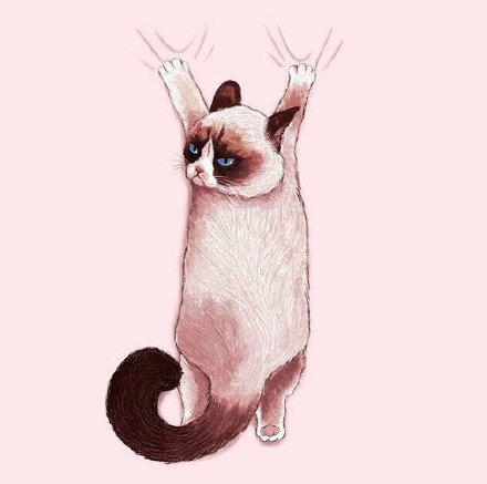 想换朋友圈背景？这些少女心款快收好