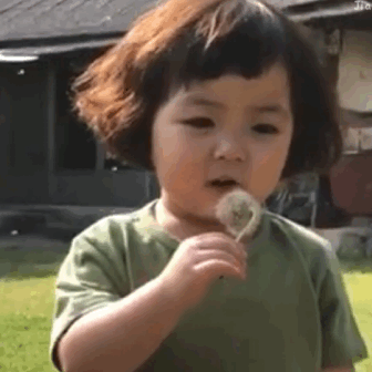 罗熙吹蒲公英的动图表情包来啦