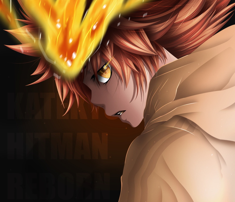 家庭教师Hitman Reborn！泽田纲吉壁纸合集 1080P高清