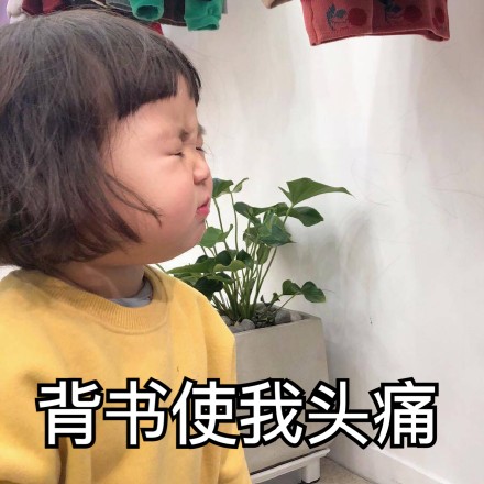罗熙高考专属表情包来啦