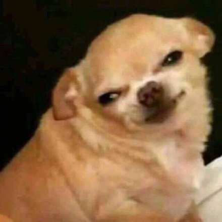 这波狗子表情包太魔性了！