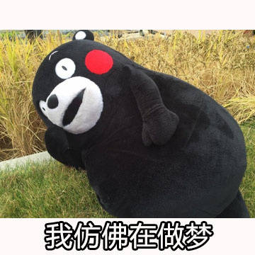 刚剁完手的我，兜里比脸还干净