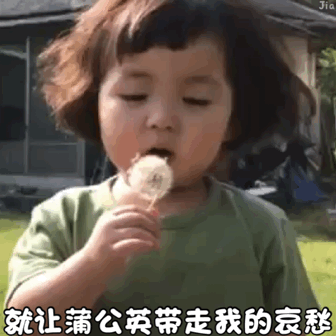 罗熙吹蒲公英的动图表情包来啦