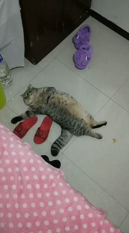 放假宅家时你和妈妈的日常太真实了