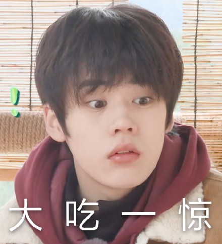 姚景元专属表情包合集来啦