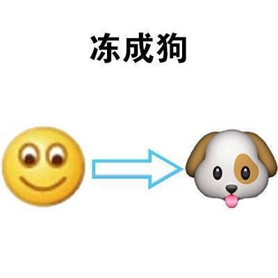 天气太冷了！这套表情包帮你吐槽降温天