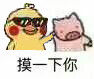 超火小黄鸡摸猪猪表情包合集
