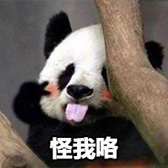 大熊猫滚滚表情包合集来啦