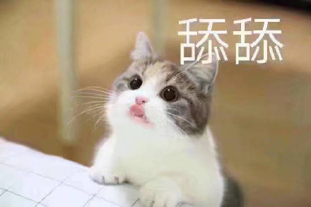 猫咪宠妻表情包合集，甜到齁的撒娇互动