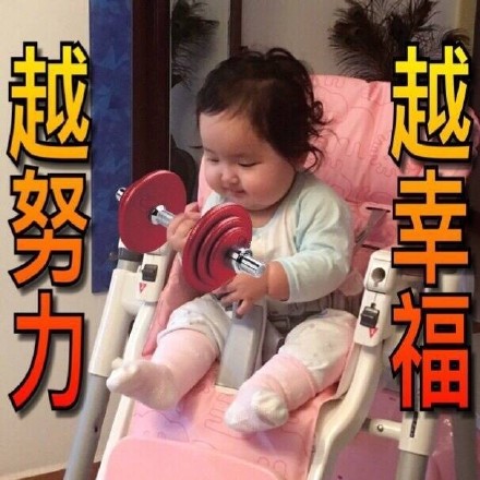 超火的精致猪猪女孩小刚几表情包合集