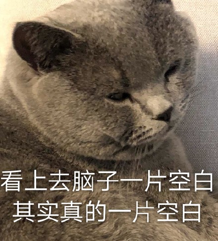 整理好的猫咪表情包合集，斗图直接用