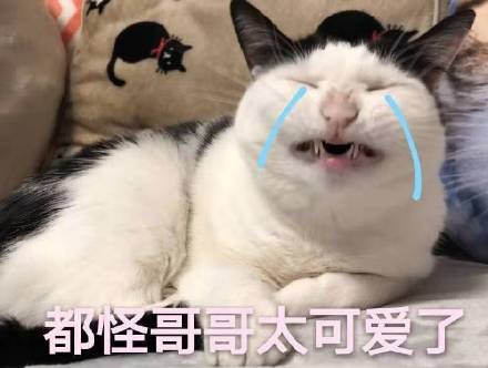 追星女孩斗图必备表情包合集