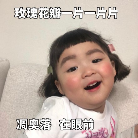 罗熙表情包第五弹来啦
