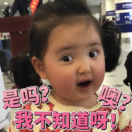 超火的精致猪猪女孩小刚几表情包合集