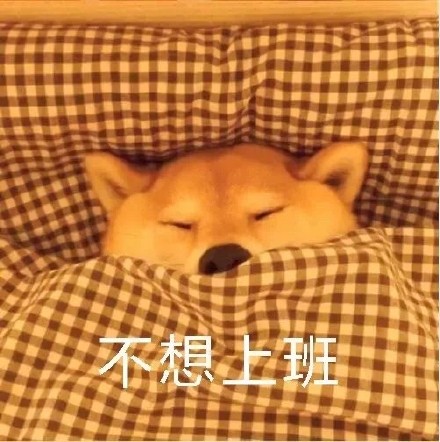 柴犬裹被窝表情包合集