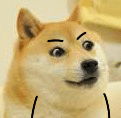 聊天斗图必备！这组柴犬动态表情包太好用了
