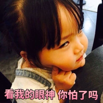 全网最全权律二表情包合集，斗图必备