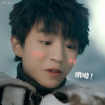 《天坑鹰猎》王俊凯表情包合集
