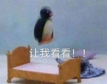 「给我康康」表情包大全