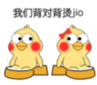 鹦鹉兄弟版泡脚表情包来啦