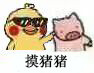 超火小黄鸡摸猪猪表情包合集