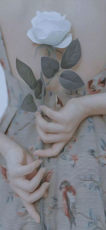 今天整理了一波超适合换的手机壁纸