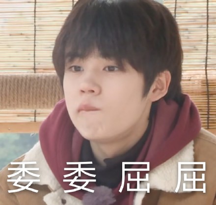 姚景元专属表情包合集来啦