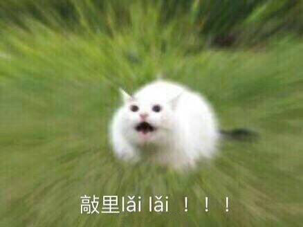 敲里吗！敲里lai lai！这套斗图表情包火了