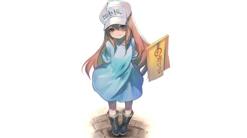 《工作细胞》高清动漫壁纸合集 全身肖像室内棚拍白背景二次元少女