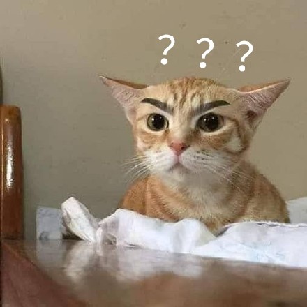 聊天斗图常备！这组疑惑问号表情包太好用了