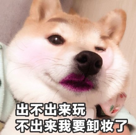 「在吗 出来玩」表情包火了？快收下这套聊天邀约神器