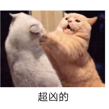 聊天斗图必备！超凶表情包合集整理好了