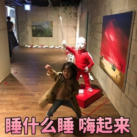 全网最全权律二表情包合集，斗图必备