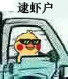 聊天斗图必备！小黄鸡开车表情包合集