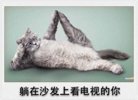 春节专属表情包来啦！精准戳中你的假期日常