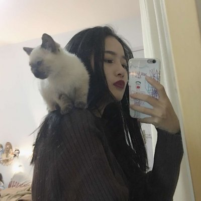 29张高清可爱抱猫女生头像 快来挑合适的用