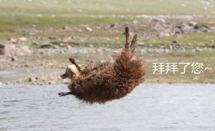 想把烦心事全丢掉？这套表情包帮你一键清空