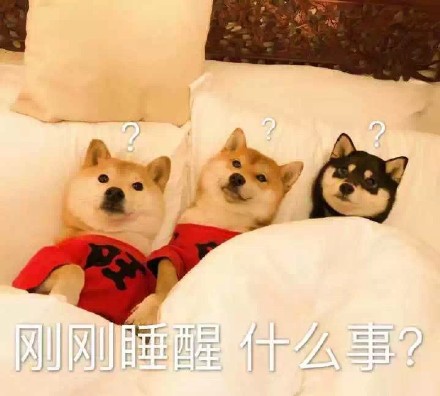 起床脸表情包合集