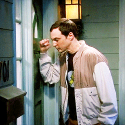 《生活大爆炸》谢耳朵GIF动图表情包合集