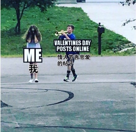 情人节专属斗图素材来啦