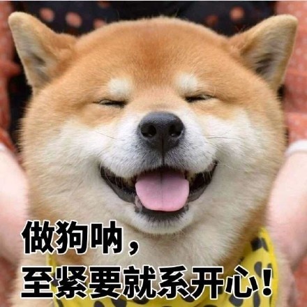 超实用柴犬表情包合集 聊天斗图必备