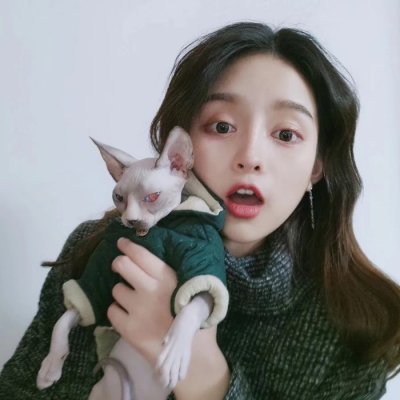 29张高清可爱抱猫女生头像 快来挑合适的用