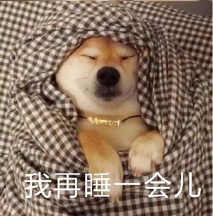 柴犬裹被窝表情包合集