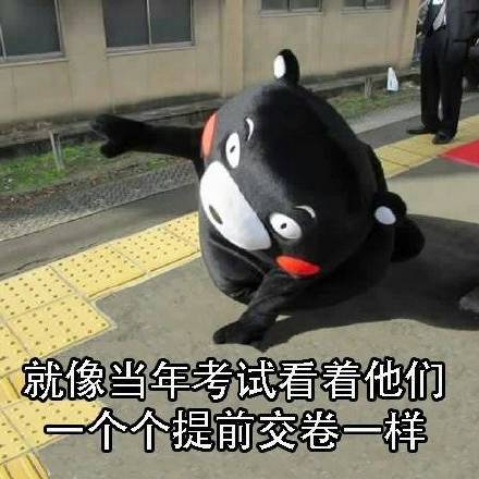 刷到同学都谈恋爱结婚了？这套熊本熊表情包太懂这种心情了