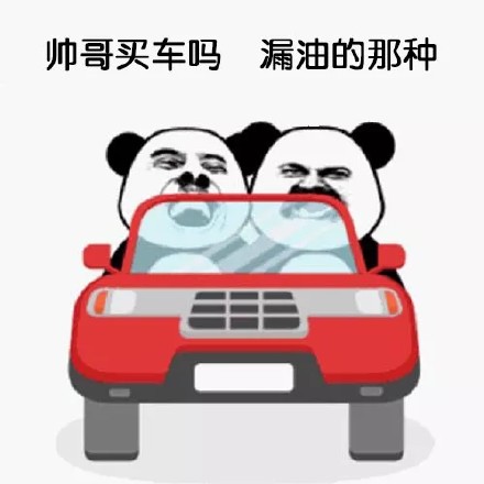 聊天斗图新宠：「买车吗」表情包合集