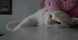 男生速存！女朋友来姨妈时的专属表情包