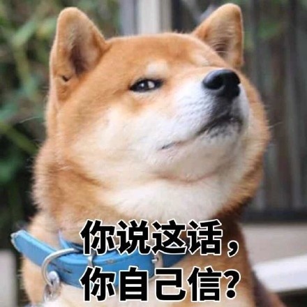 超实用柴犬表情包合集 聊天斗图必备