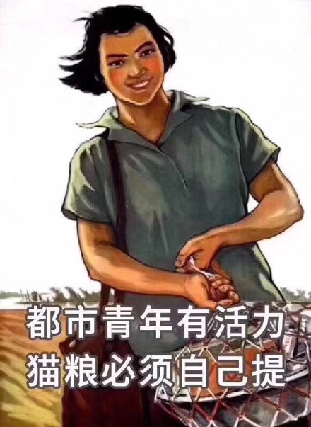 猫咪铲屎官专属表情包来啦