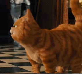 超萌卡通橘猫动图表情包合集