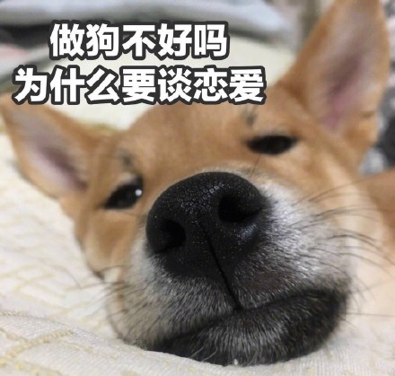 情人节临近，这套单身狗表情包快存好